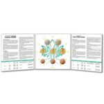 Colección de monedas de euro Francia 2026 BU - Imagen 2