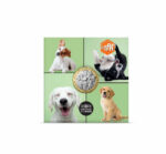 5 euroa Ranska 2025 - Lempieläin: Koirat