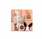 5 euroa Ranska 2025 - Lempieläin: Kanit