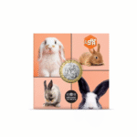 5 eurot Prantsusmaa 2025 - Lemmikloomad: Küülikud