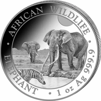 Hopeakolikko 100 shillinkiä Somalian 2026 – Somalian elefantti