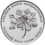 1 rublo Transnistria 2019 - Castagna d'acqua