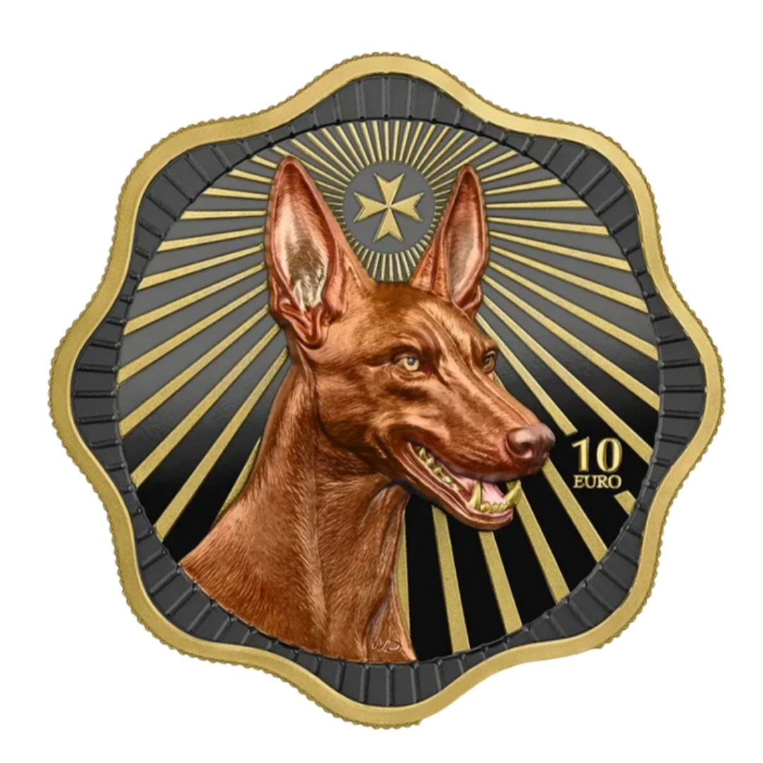 maltadog2oz1 Hõbemünt 10 eurot Malta 2026 - Vaaraokoer - Pilt 1