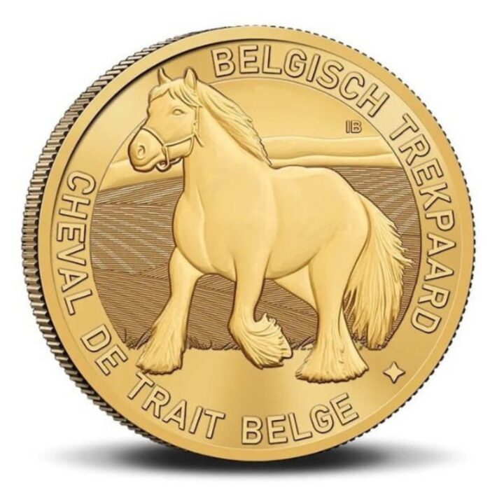 Euromüntide pangavoldik Belgia 2026 + 2 x 2,50 € münti - Pilt 3
